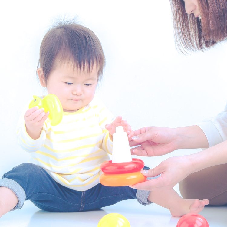 3.シッティング当日